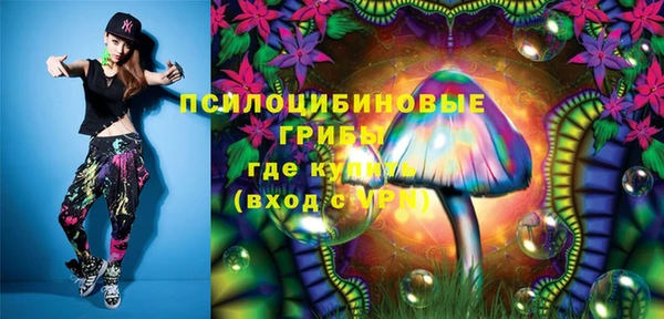 мдпв Абаза