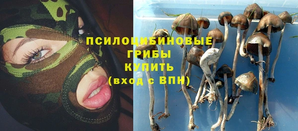 эйфоретик Алексин