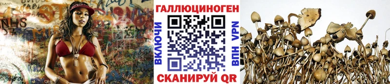 блэк спрут маркетплейс  Щёлково  Галлюциногенные грибы мицелий 